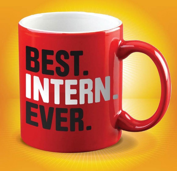 What Does It Mean To Be An Intern 